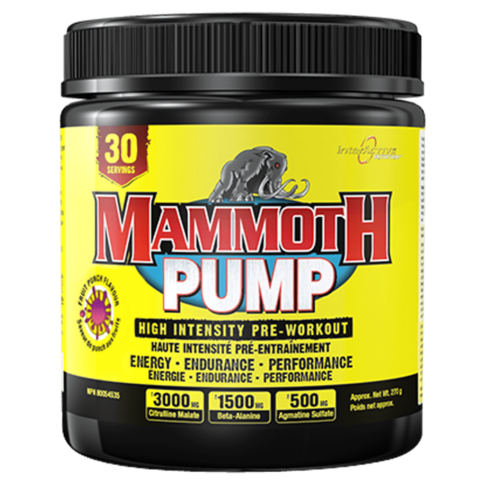 Mammoth Pump