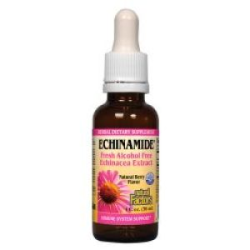Echinamide Echinacea Alcohol Free Berry - 1 oz