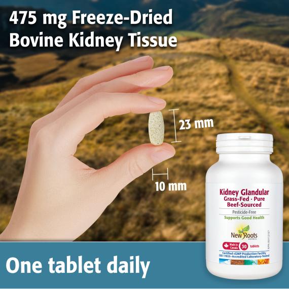NEW ROOTS GRASS-FED BEEF KIDNEY 30 TABS
