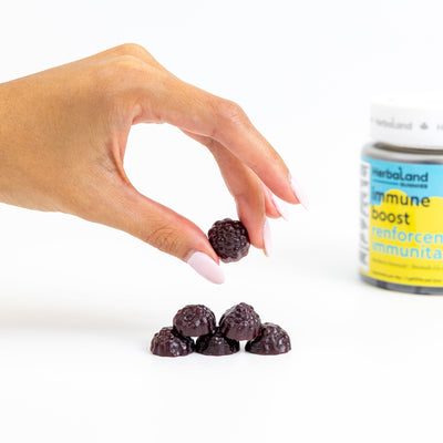 HERBALAND Immune Boost for Adults Blackberry Lemonade 60 Gummies