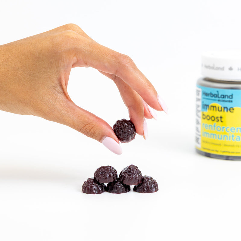 HERBALAND Immune Boost for Adults Blackberry Lemonade 60 Gummies
