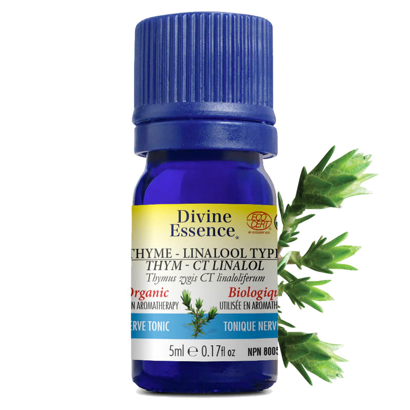 Divine Essence Organic Thyme Linalool 5mL