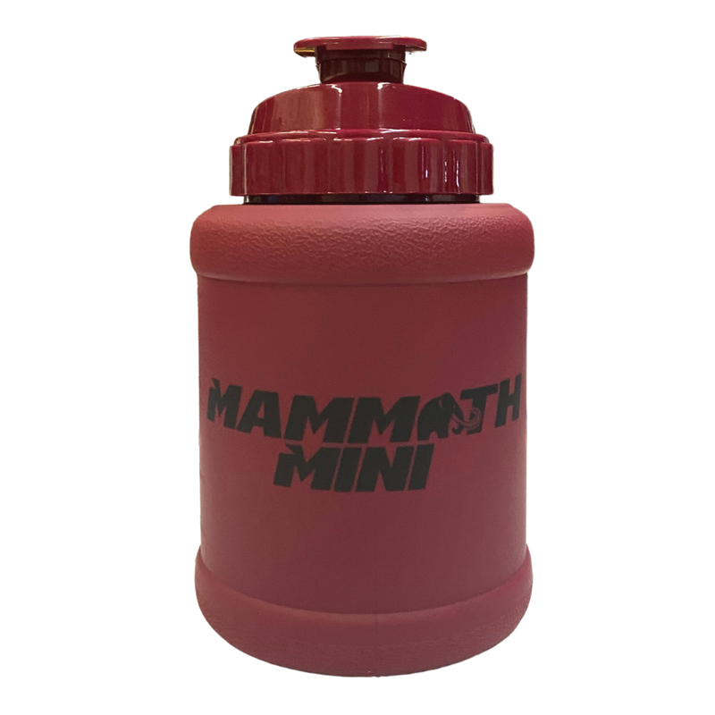 Mammoth Mug Mini 1.5L – Clear