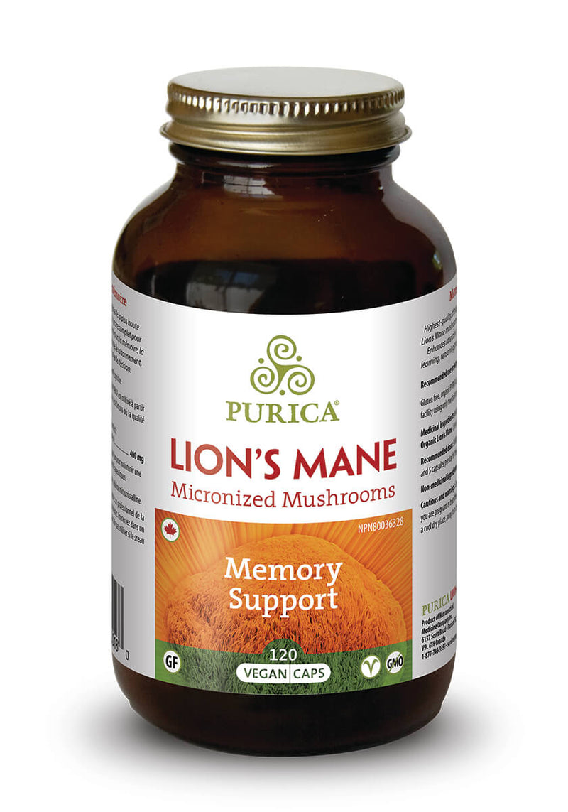 Purica Lion&