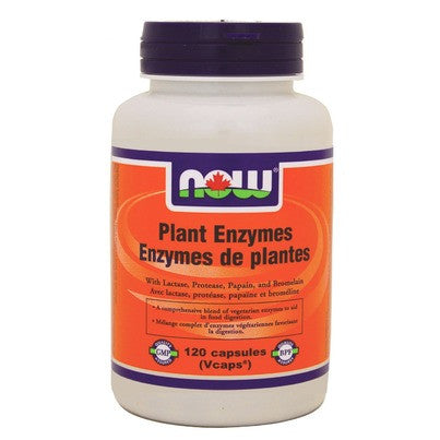 Plant Enzymes 120 vcaps – 120 vcaps
